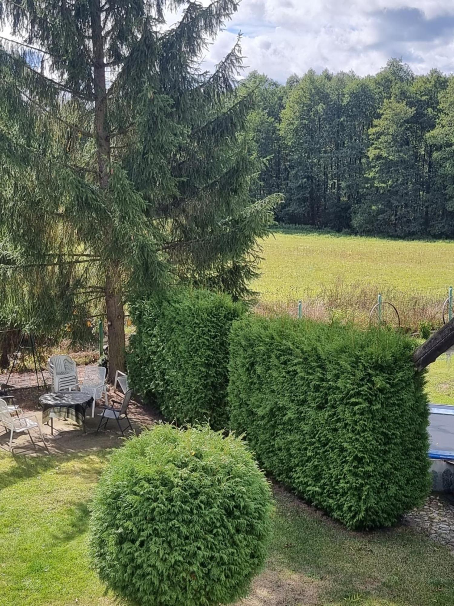 Agroturystyka Nienasycenie Brzezno Lynskie Exterior foto
